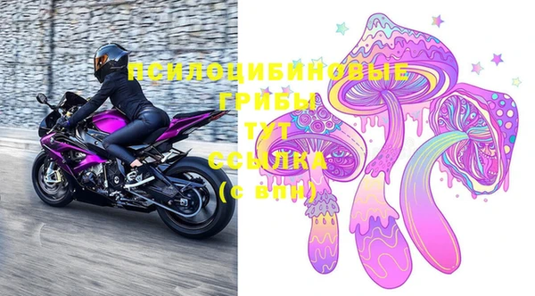 гидра Семёнов