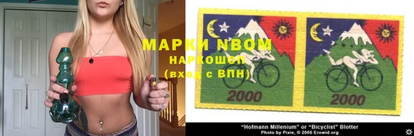 индика Алзамай