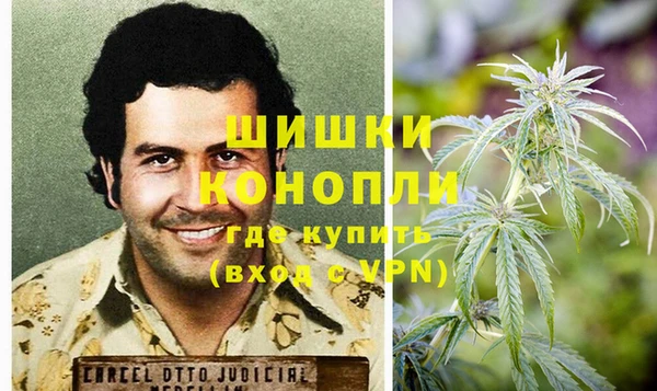индика Алзамай
